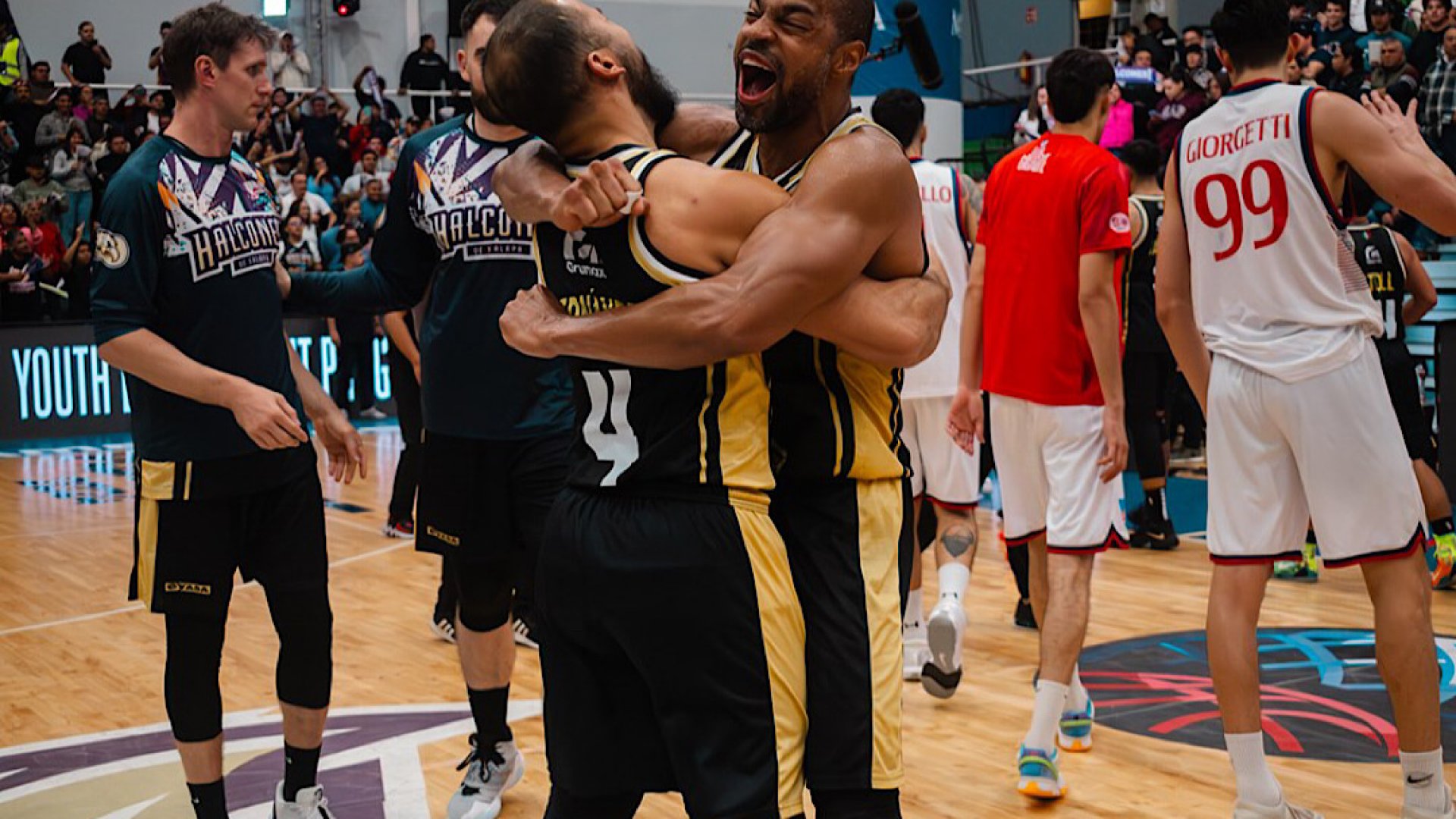 Halcones entre los cuatro grandes del continente americano