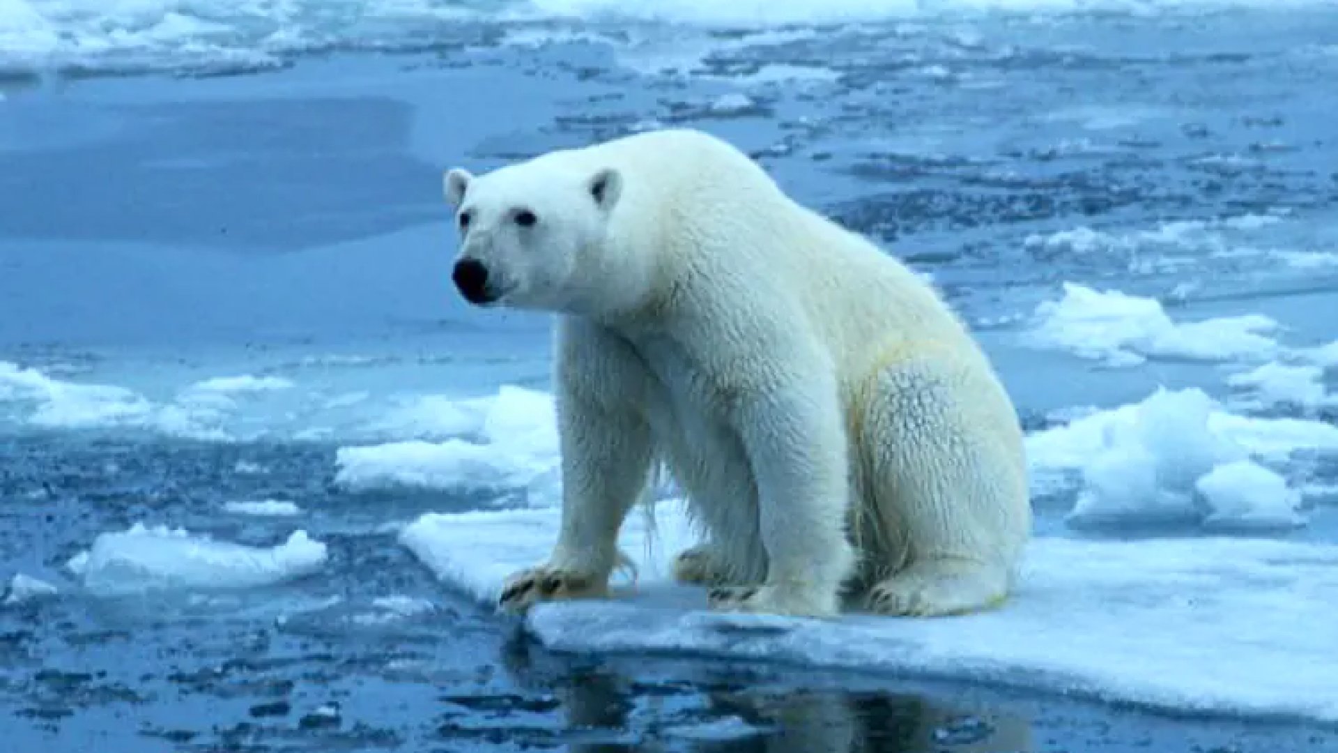 Emite ONU ‘alerta roja’ mundial por el calentamiento global