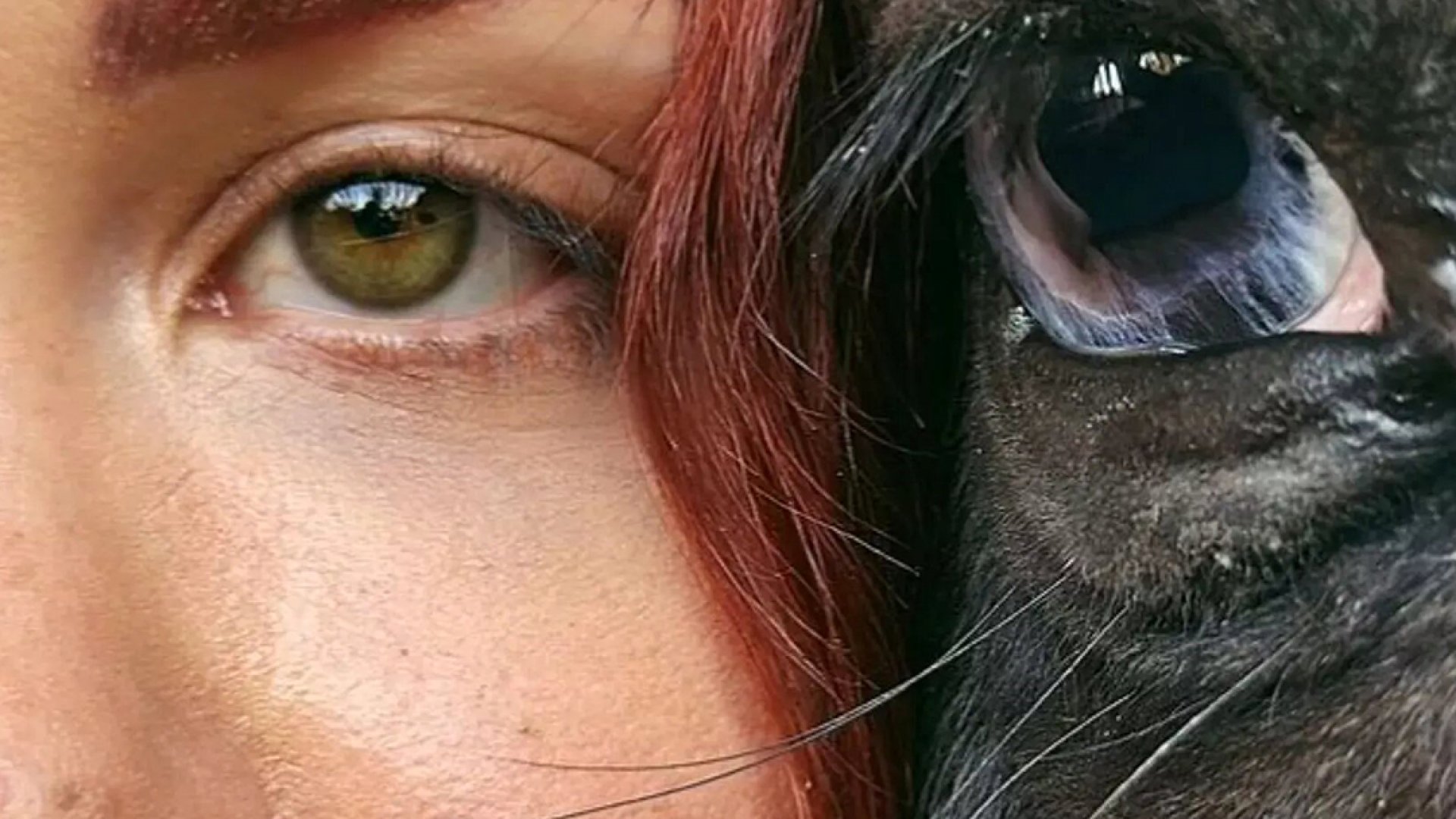 Muere Elena Larrea pro animalista y modelo