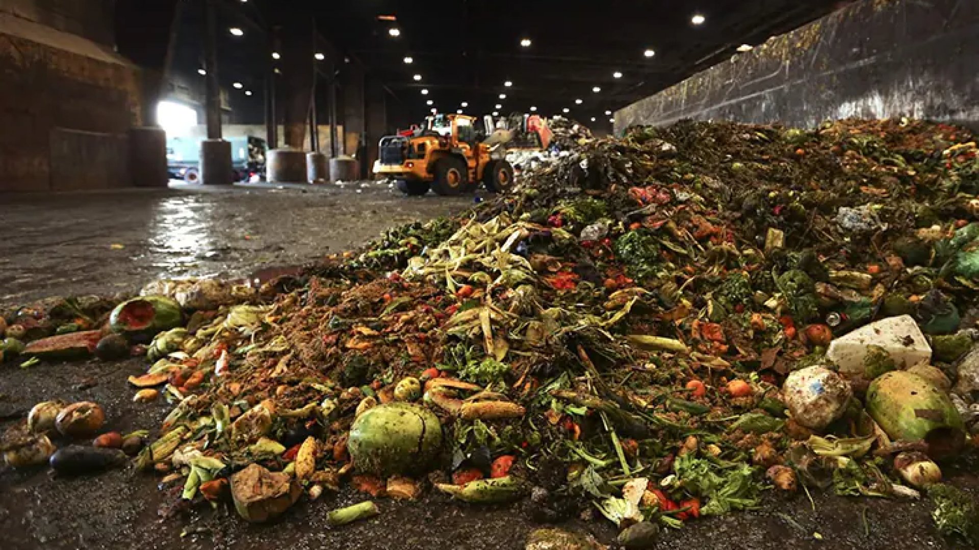 Se desperdician más de mil millones de toneladas de alimentos en el mundo: ONU