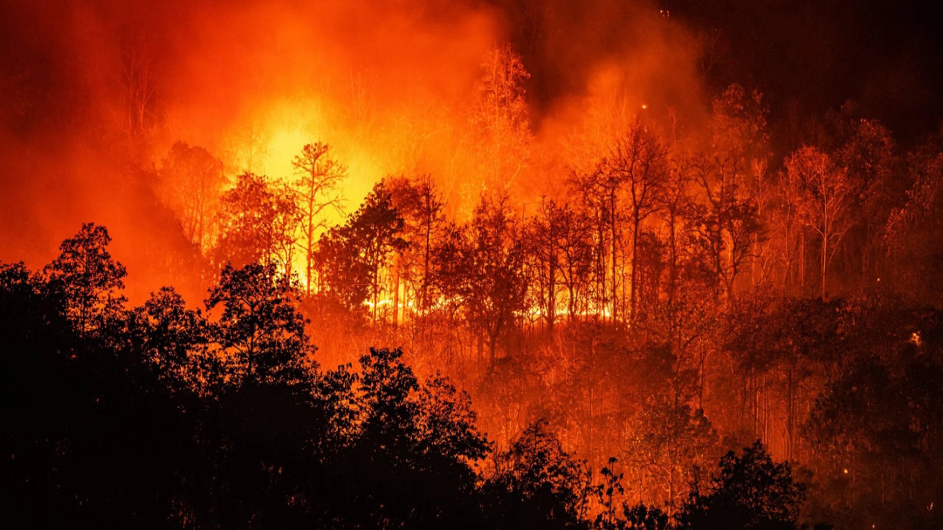 Crecen 68% los daños por incendios ¡en una semana!