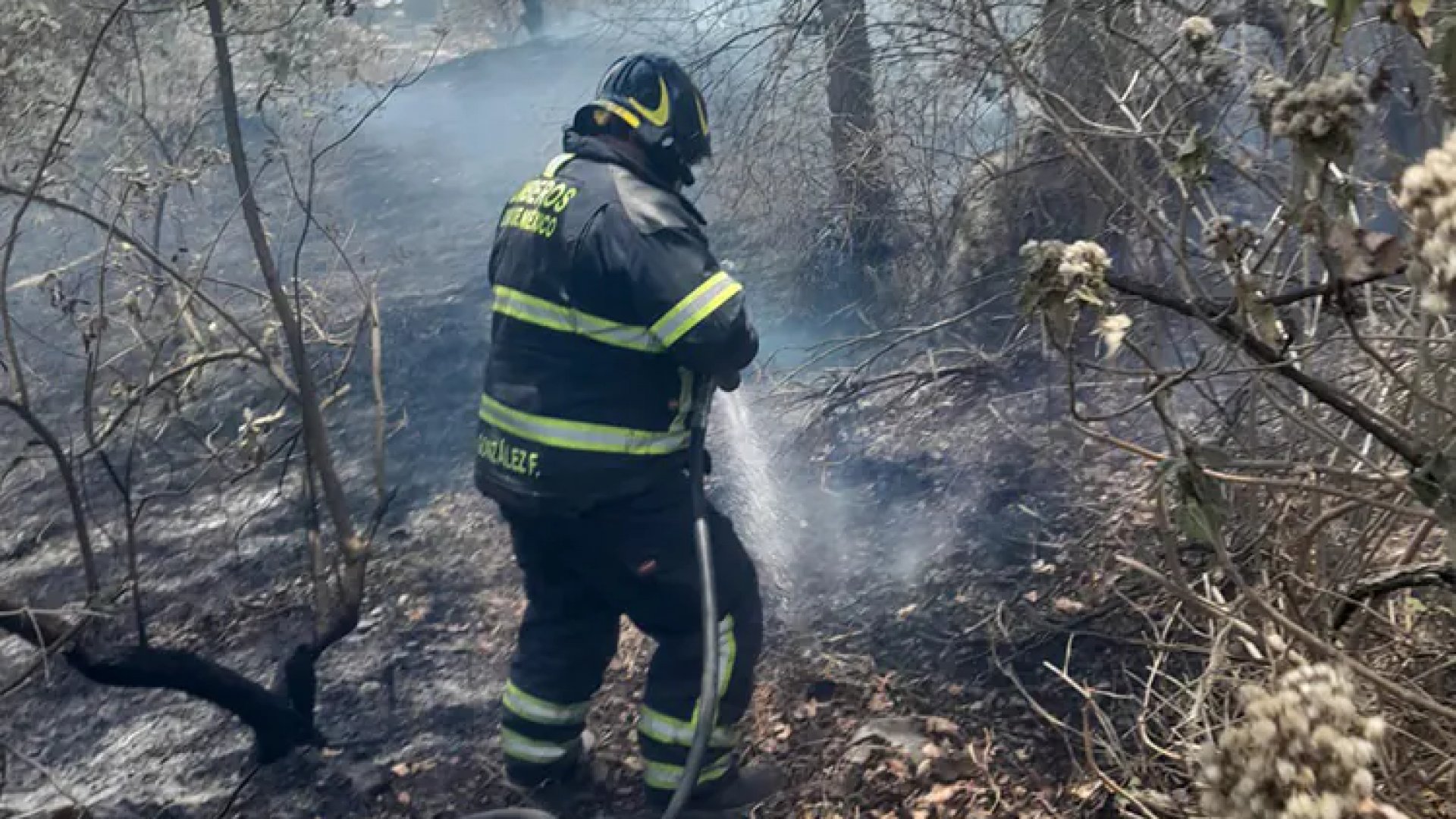 Elevan incendios forestales contaminación por partículas
