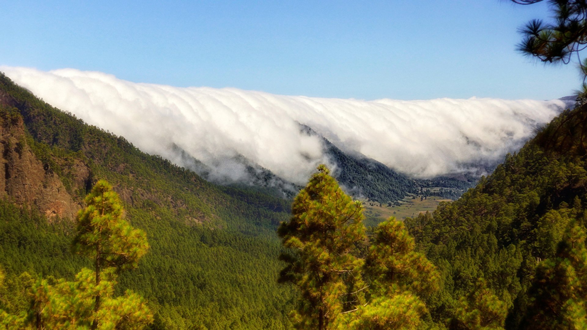 Efecto Föhn, fenómeno que entrará a México afectando el clima en abril