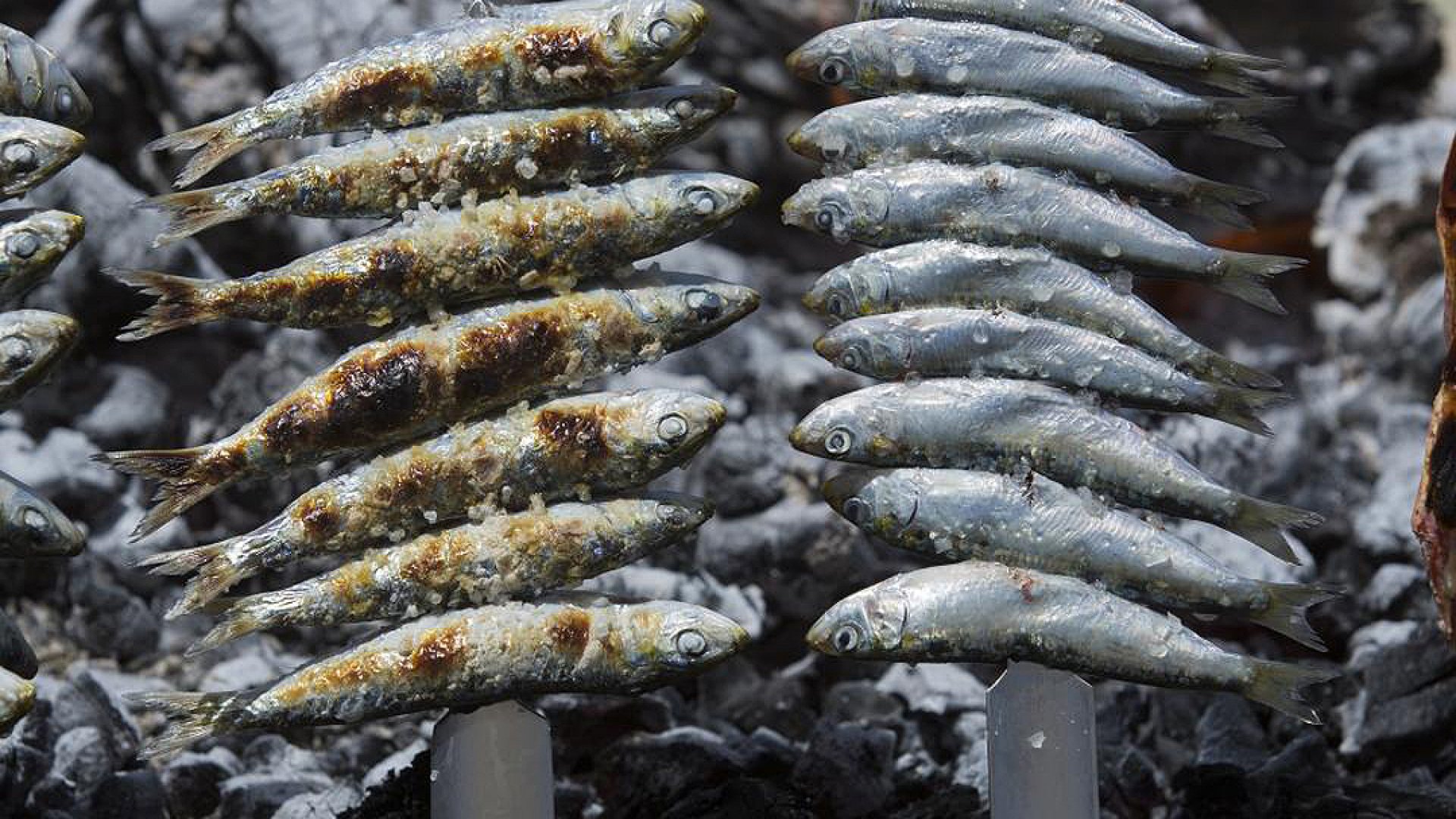 Comer sardinas en lugar de carne roja podría evitar muertes prematuras en 2050