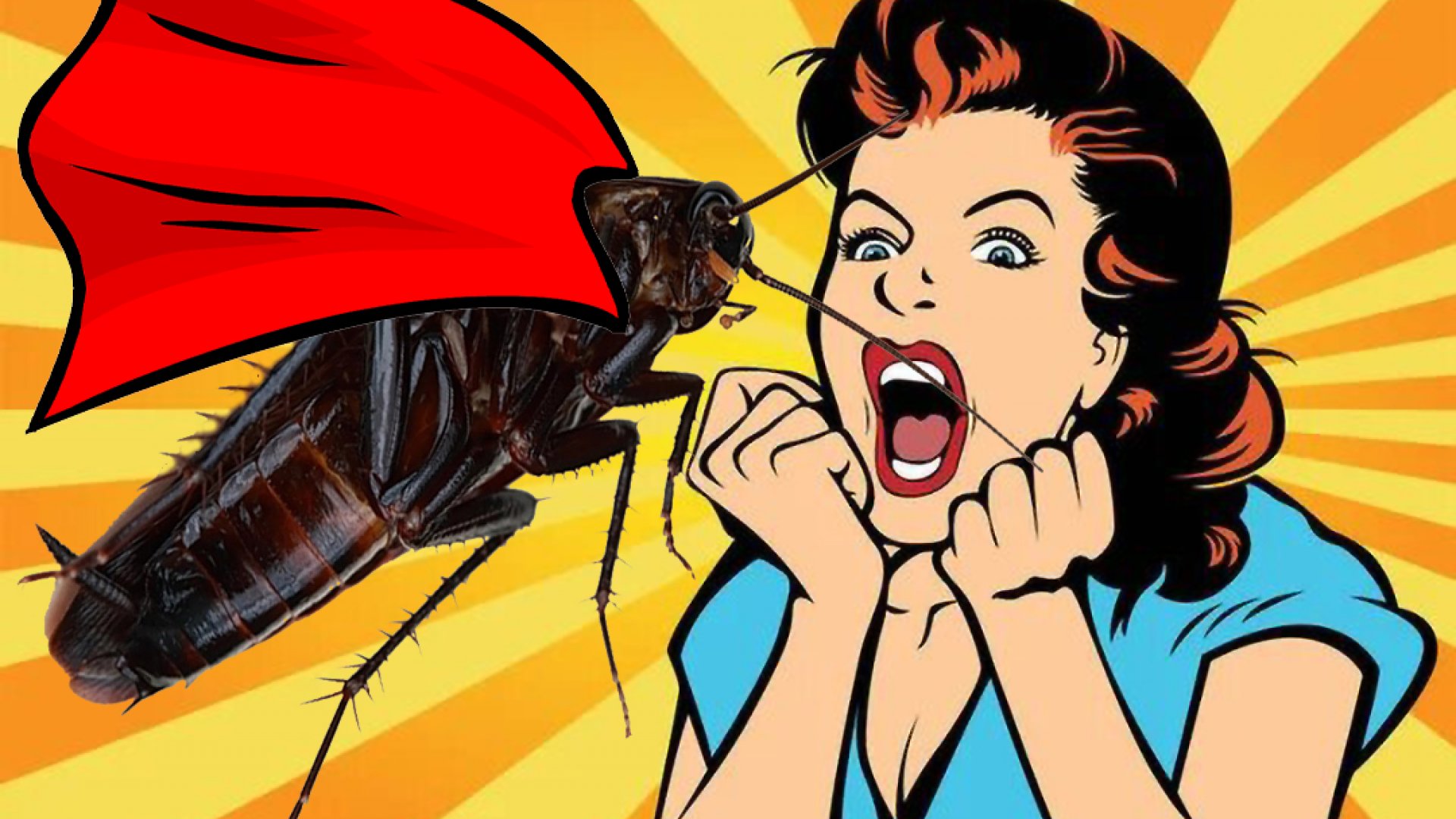 Cambio climático está provocando ‘cucarachas mutantes’ más resistentes a los insecticidas