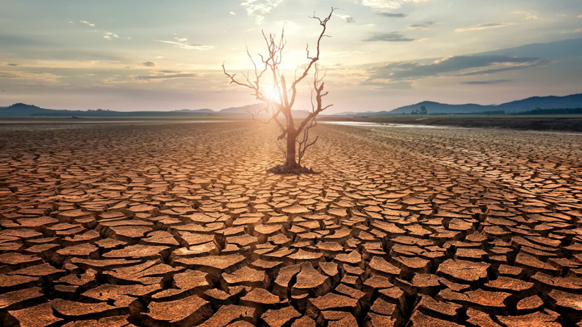 Onda de calor se extiende por varios días y afecta a todo México; hoy el calor superará los 45 °C