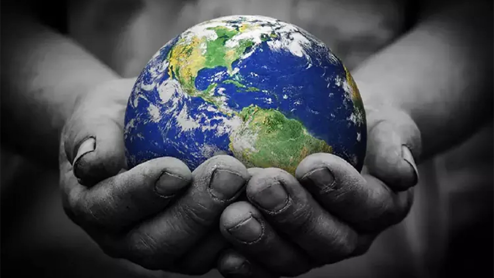 Día de la Tierra 2024: ¿Por qué lo celebramos?