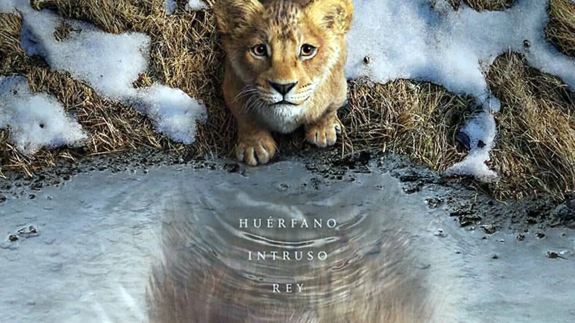 Llegará a cines “Mufasa: El Rey León”