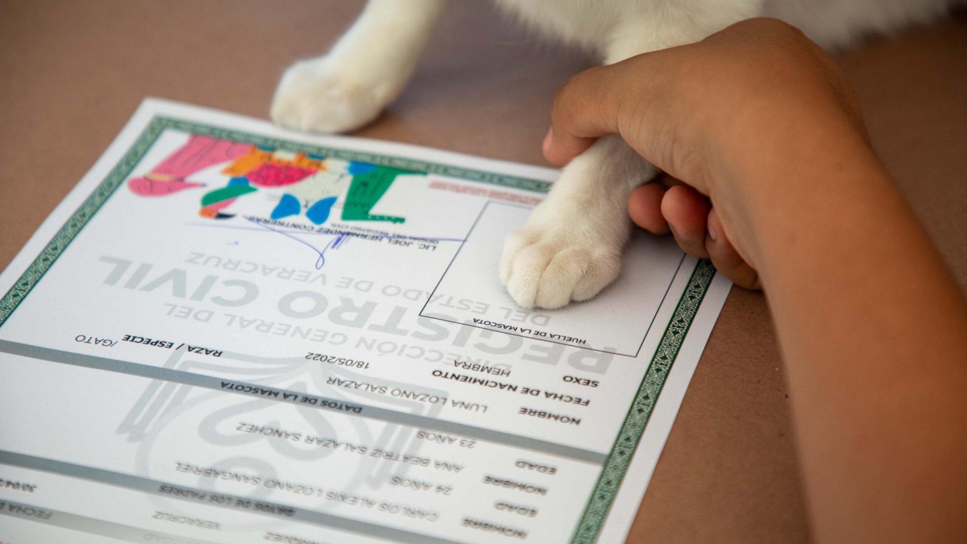 Realizan Registro de Nacimiento de Mascotas en Xalapa