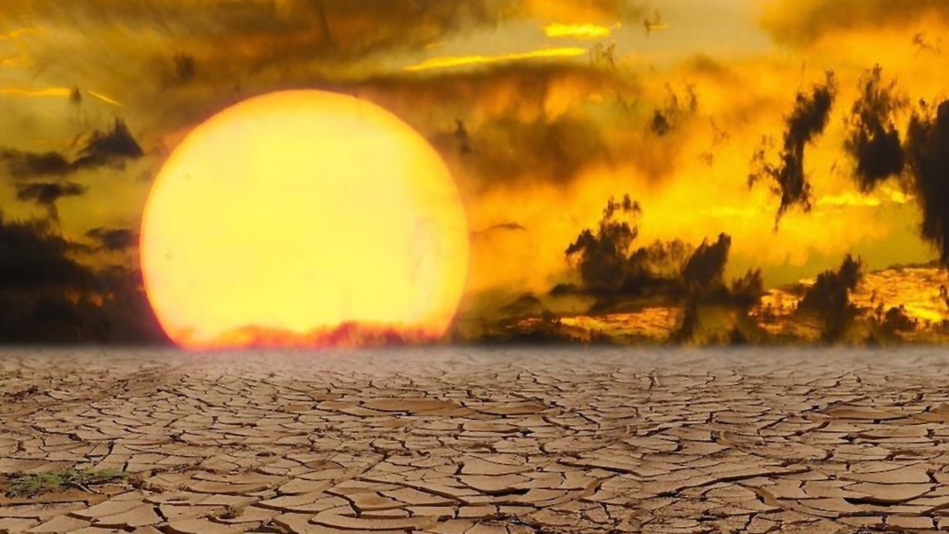 Segunda ola de calor comienza en México con temperaturas mayores a 45 grados
