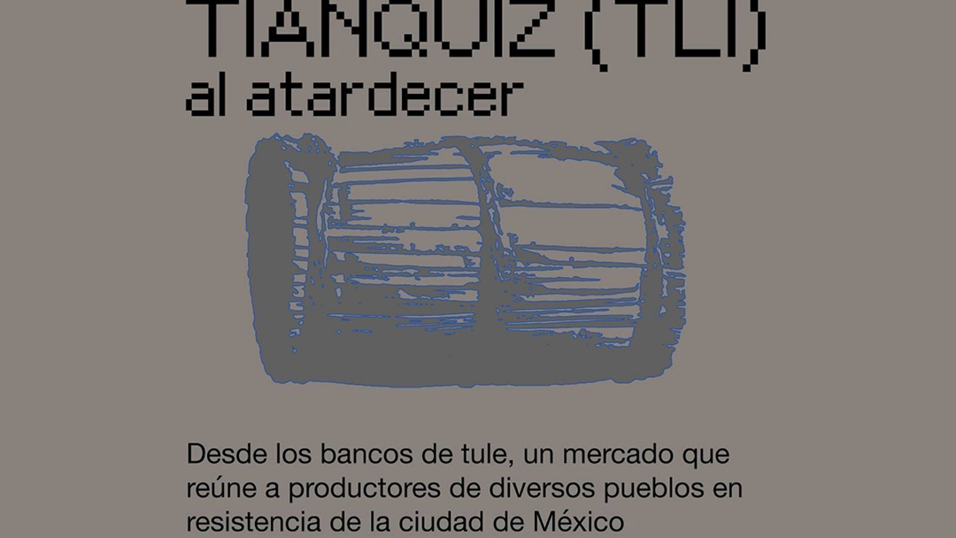 Tianquiz al atardecer en CDMX busca visibilizar la diversidad cultural