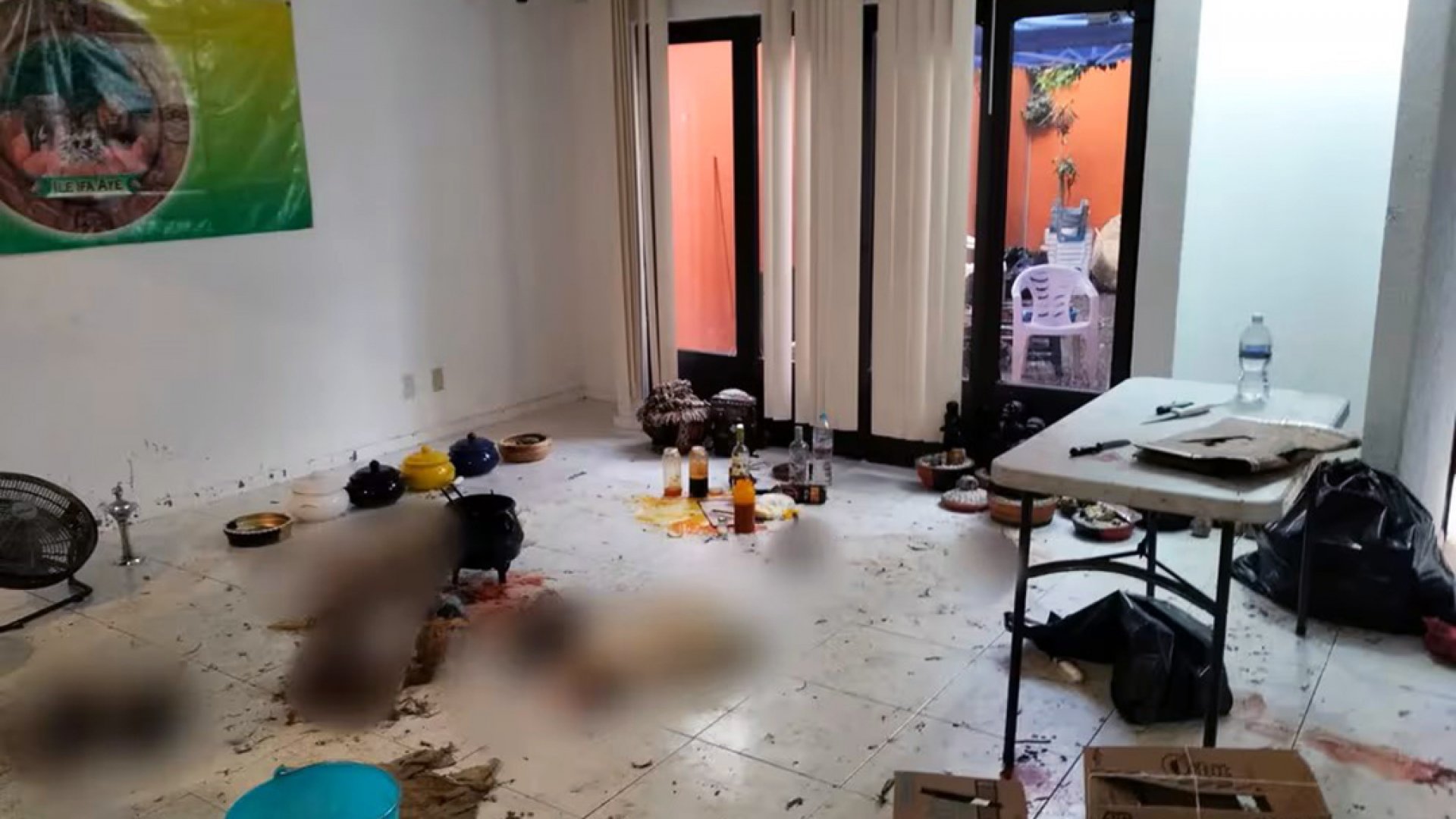 Rescatan a 27 animales usados para santería en Naucalpan