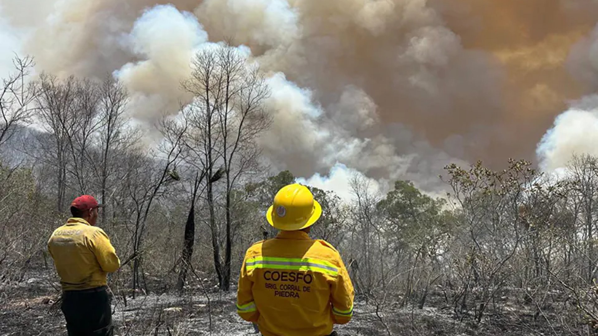 Ola de calor histórica e incendios asolan a todo México