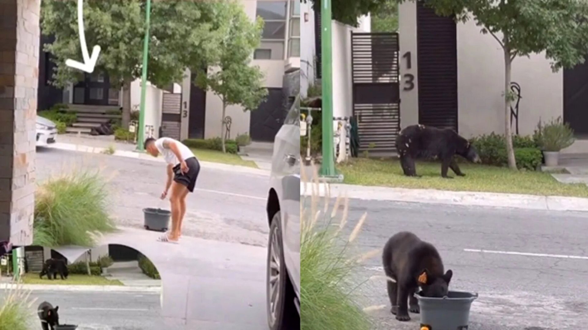 Maxi Meza y su noble gesto con los osos: Les sirvió agua por el calor