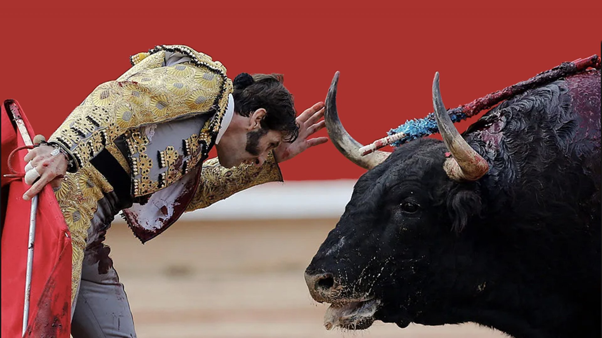 Revocan suspensión otorgada a ONG contra corridas de toros en CDMX