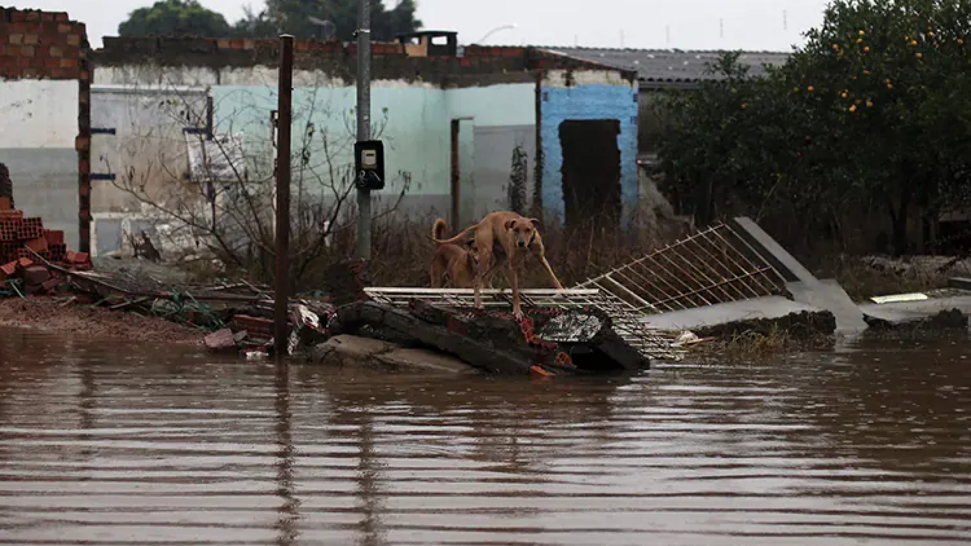 Brasil: Van 151 muertos y más de cien desaparecidos tras inundaciones