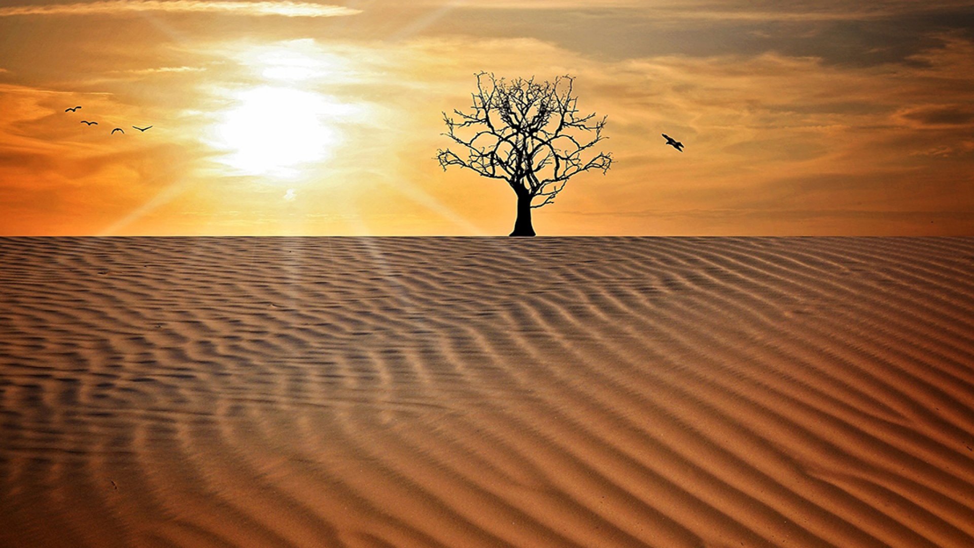 México romperá récords históricos de calor en los próximos días