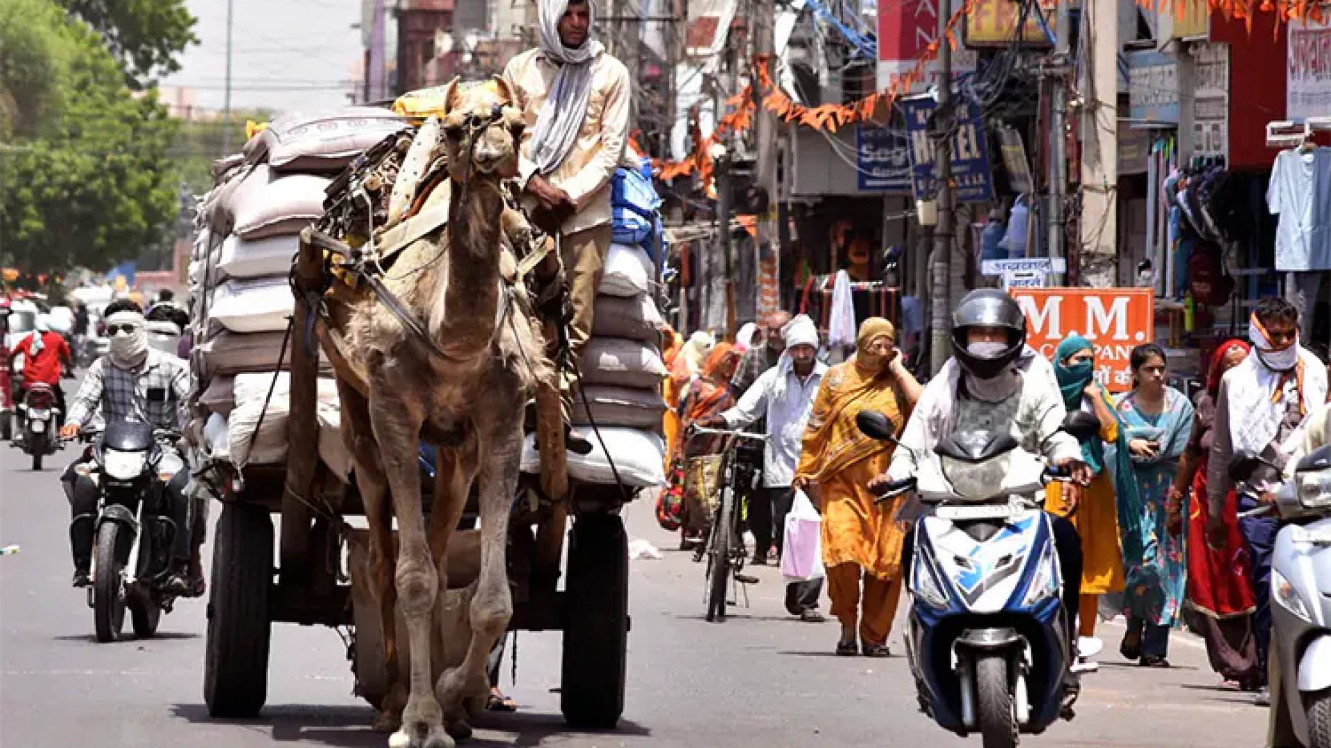 India arde: Nueva Delhi registra temperatura histórica de 52.3 grados