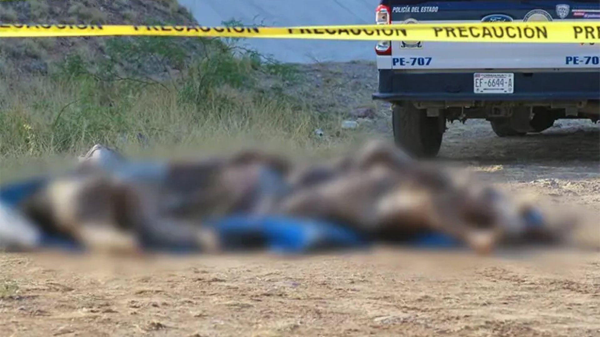Hallan cinco cuerpos al costado de carretera en Chihuahua