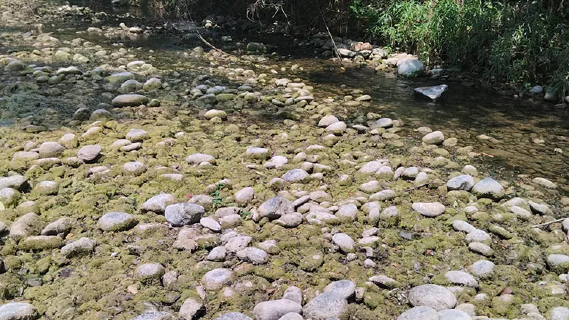 Urgen en Huejutla declaratoria de emergencia por crisis de agua