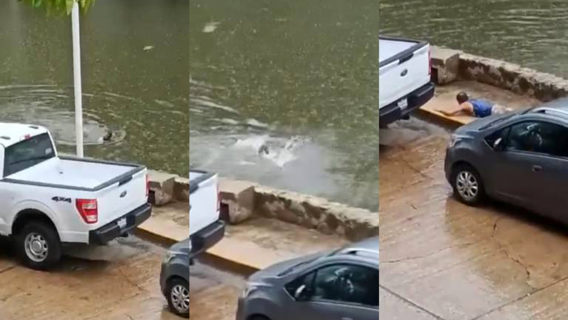 Hombre borracho se metió a laguna y es rodeado por cocodrilos