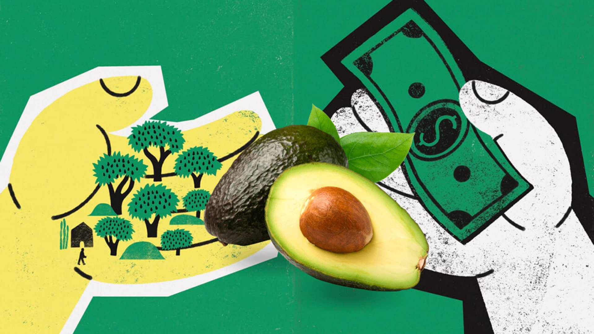 EU bloquea exportaciones mexicanas de aguacate por ataque a inspectores