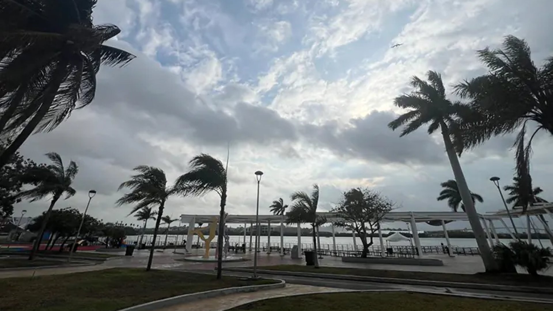 Se degrada a depresión tropical la tormenta tropical Alberto