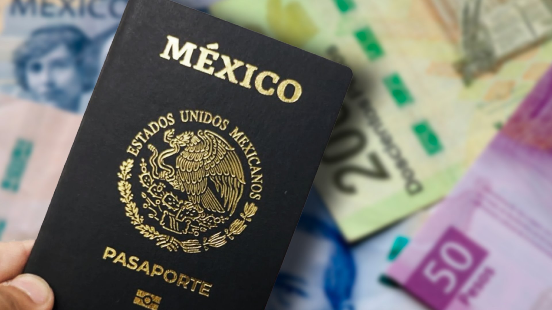 Grupo armado robó más de seis mil pasaportes en blanco