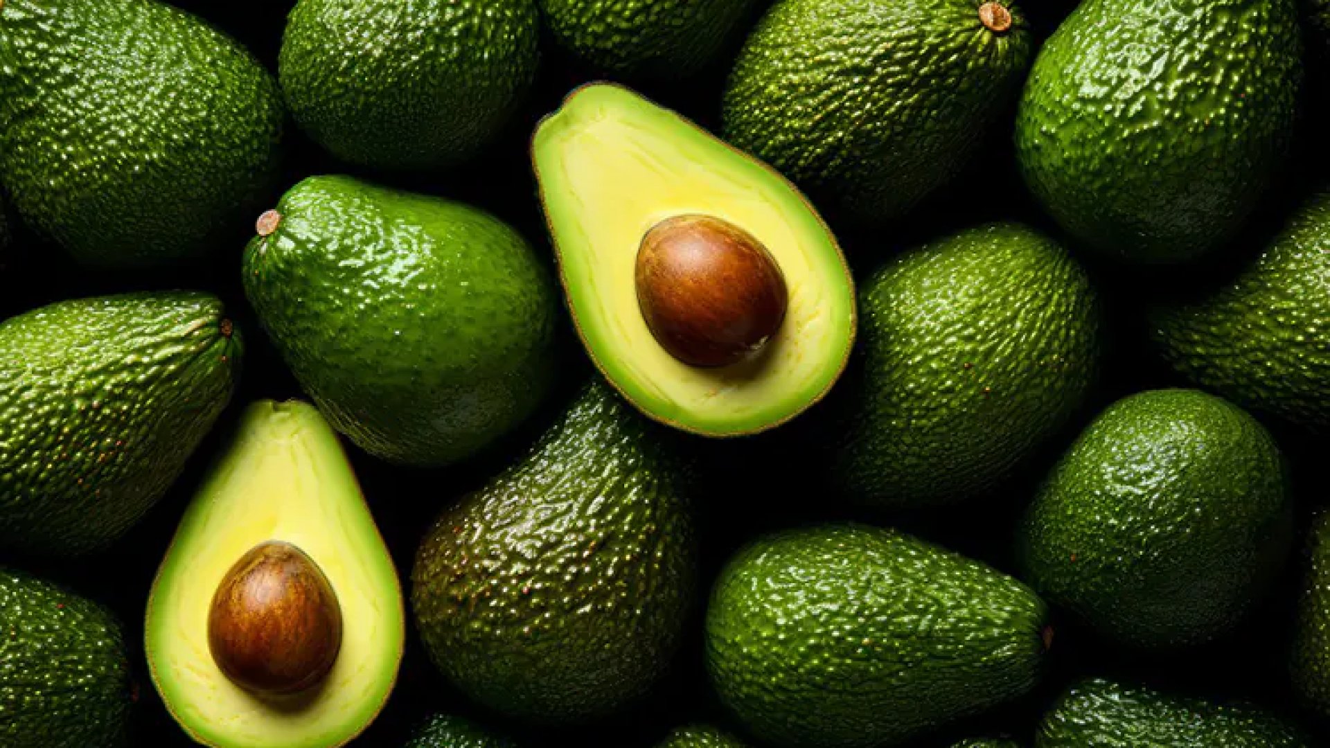 Reiniciará EU inspección de aguacate mexicano en Michoacán