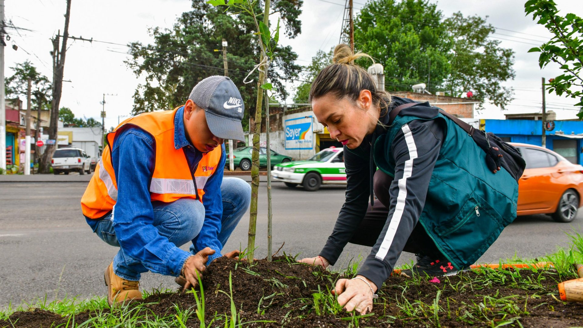 Realiza Ayuntamiento jornada de plantación de árboles
