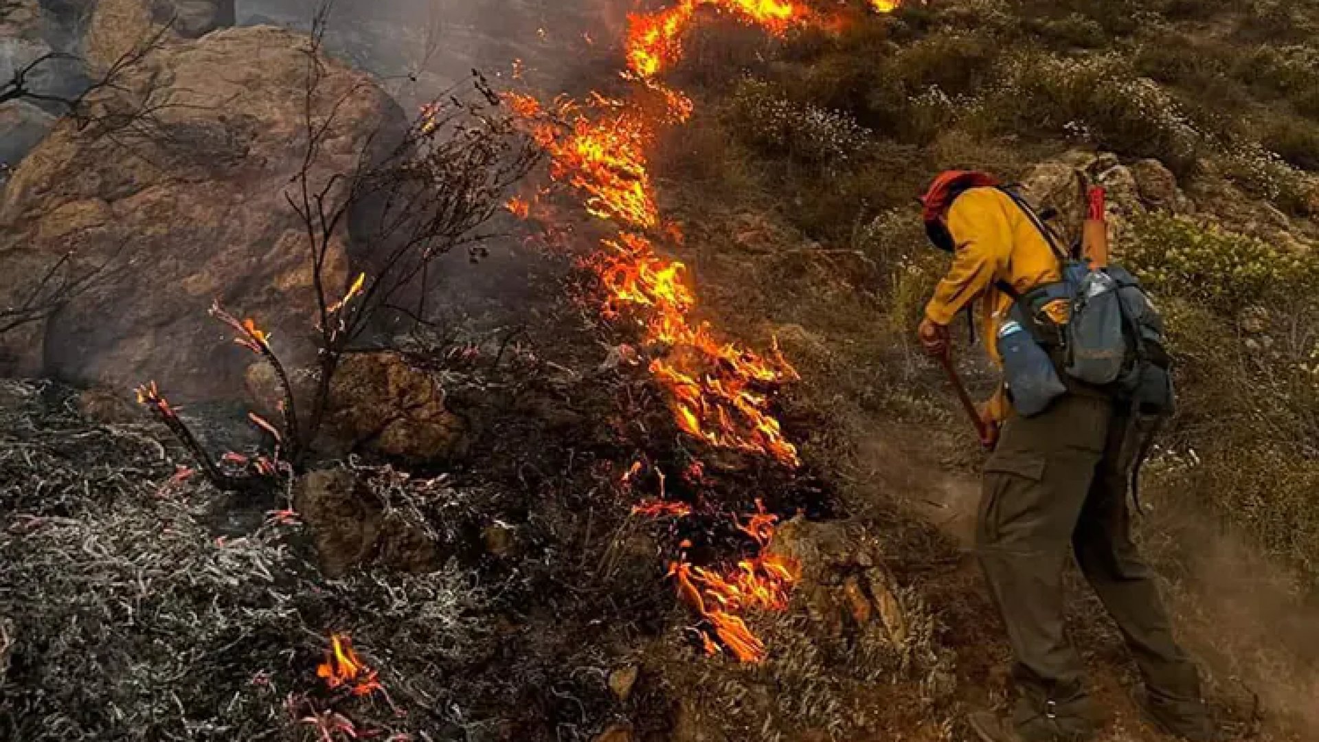Incendio forestal consume 660 hectáreas de Valle de Guadalupe, Baja California