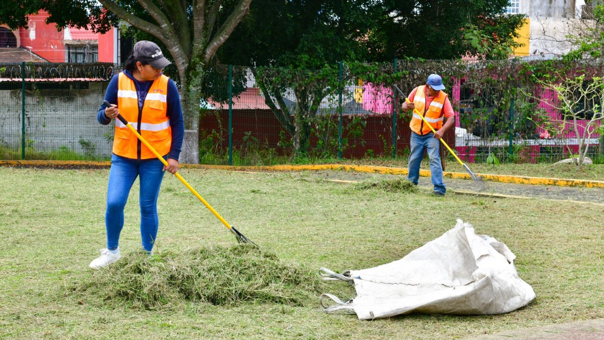 Trabajan Ayuntamiento y sociedad por un mejor medio ambiente