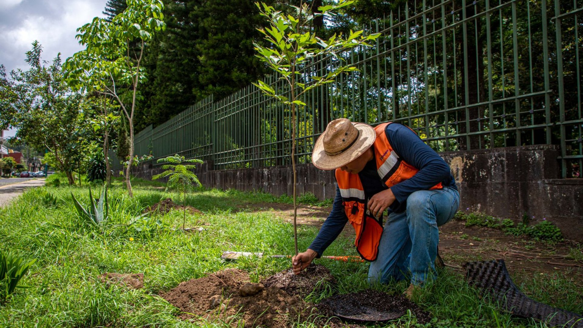 Se realiza jornada de reforestación y mantenimiento de áreas verdes 