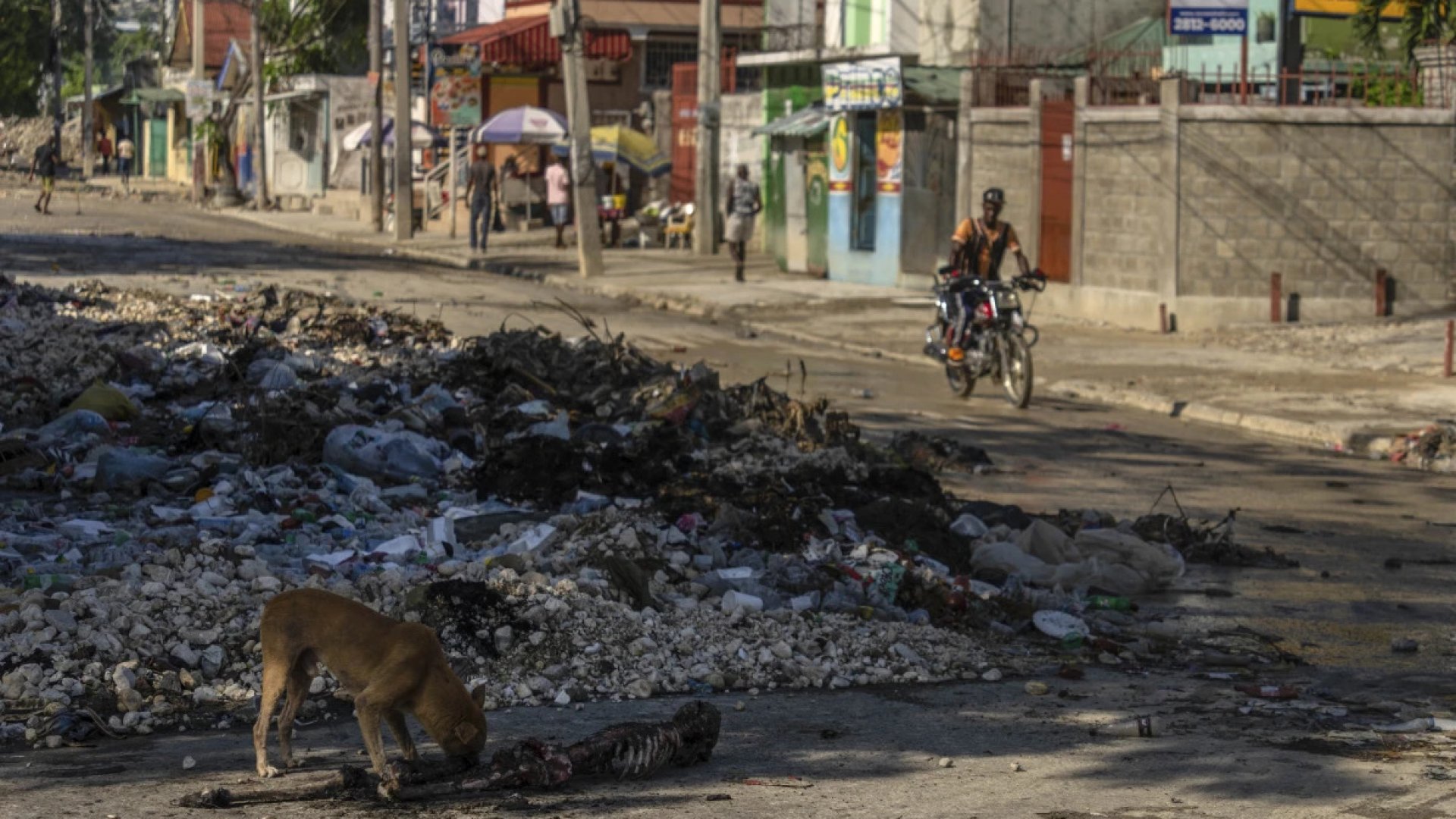 Haití requiere con urgencia del respaldo financiero y la solidaridad del mundo