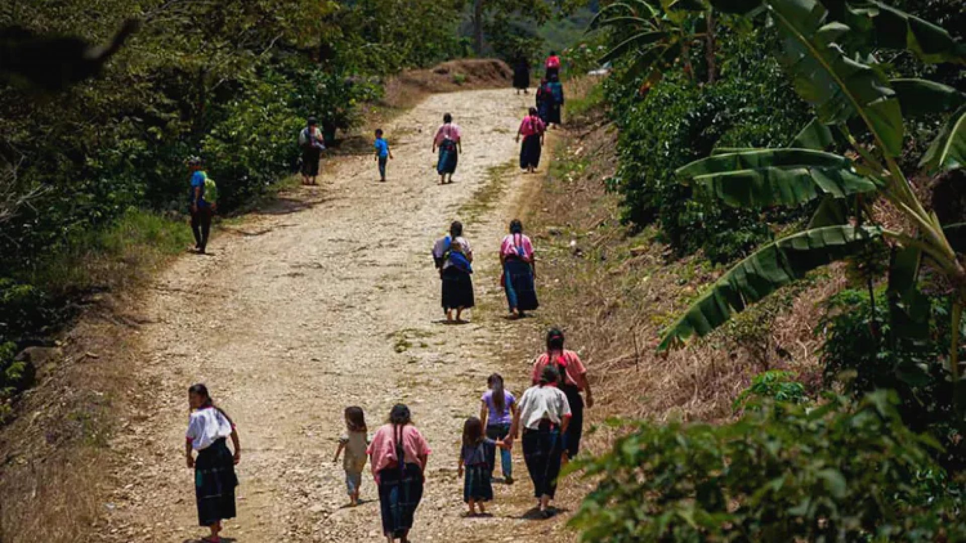 Da SRE a desplazados de Chiapas asistencia en Guatemala