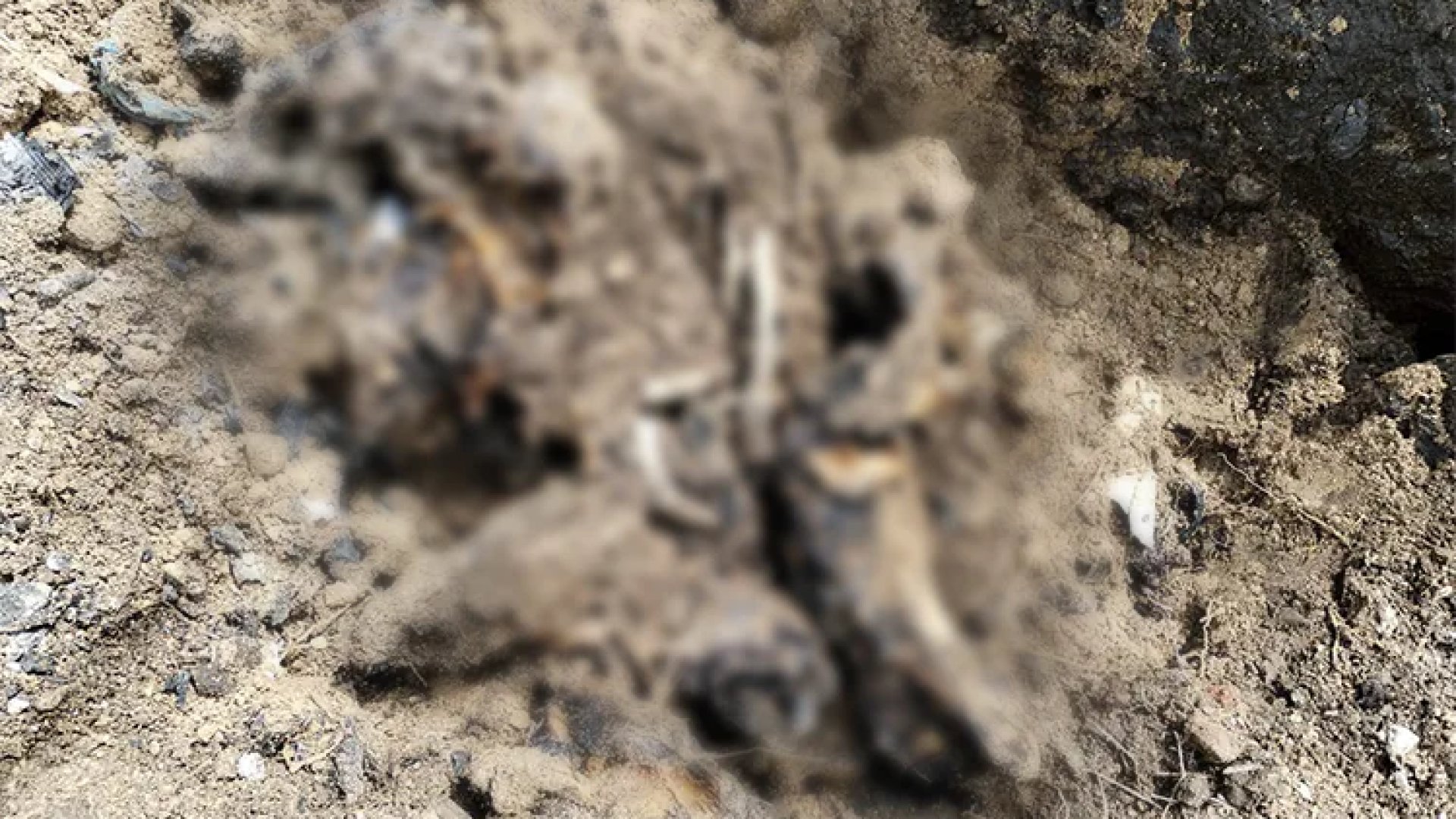 Hallan en Tlajomulco restos humanos y crematorio clandestino