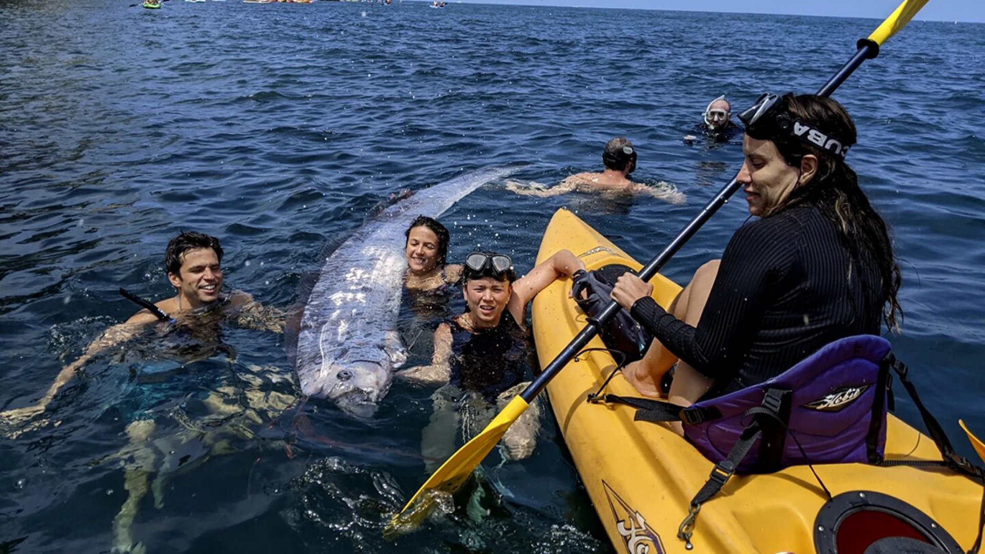 Un ejemplar del raro ‘pez del fin del mundo’ apareció muerto en la costa sur de California