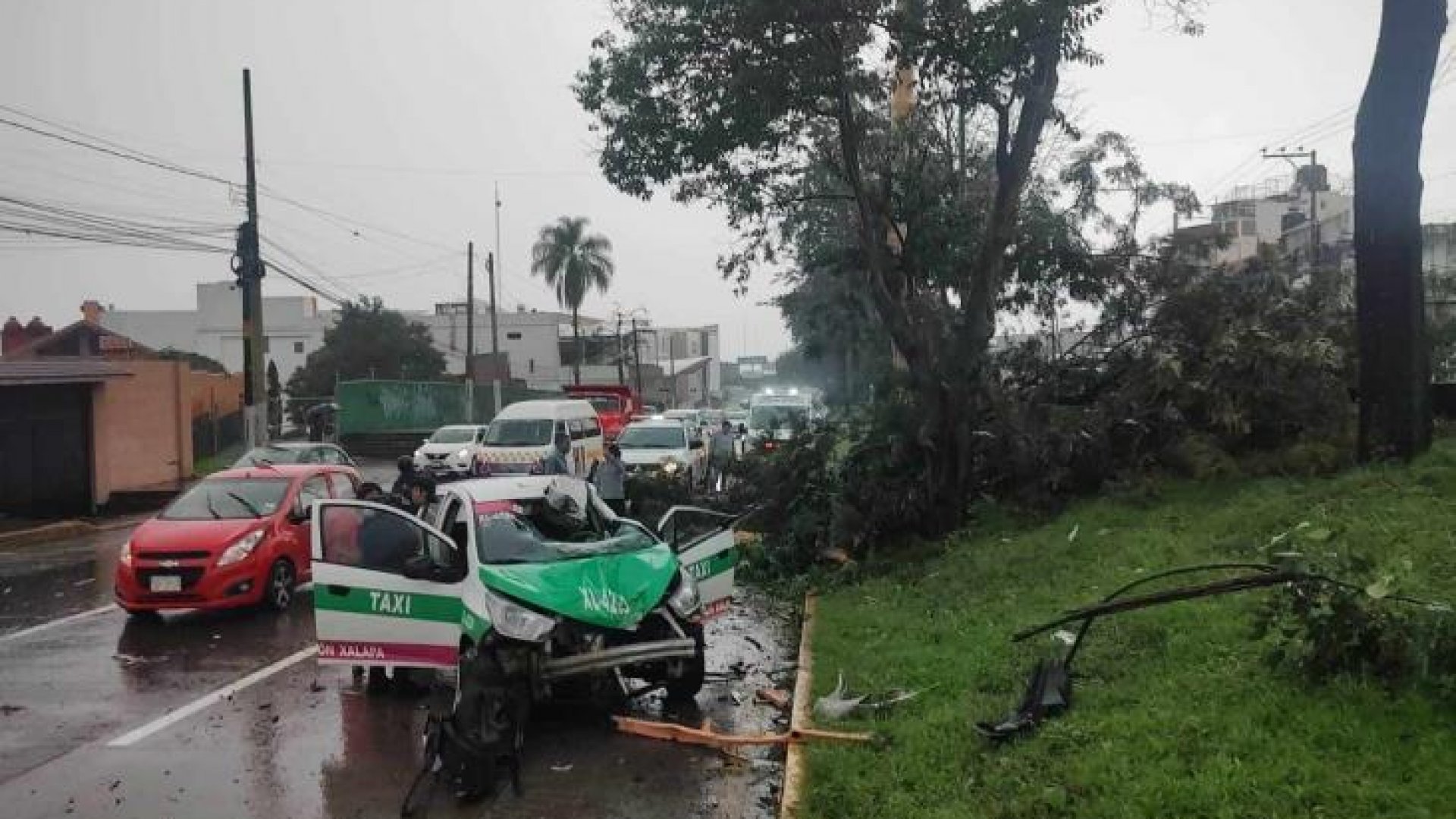 Video l Rayo tira árbol y cae sobre taxi en Xalapa; hay lesionados