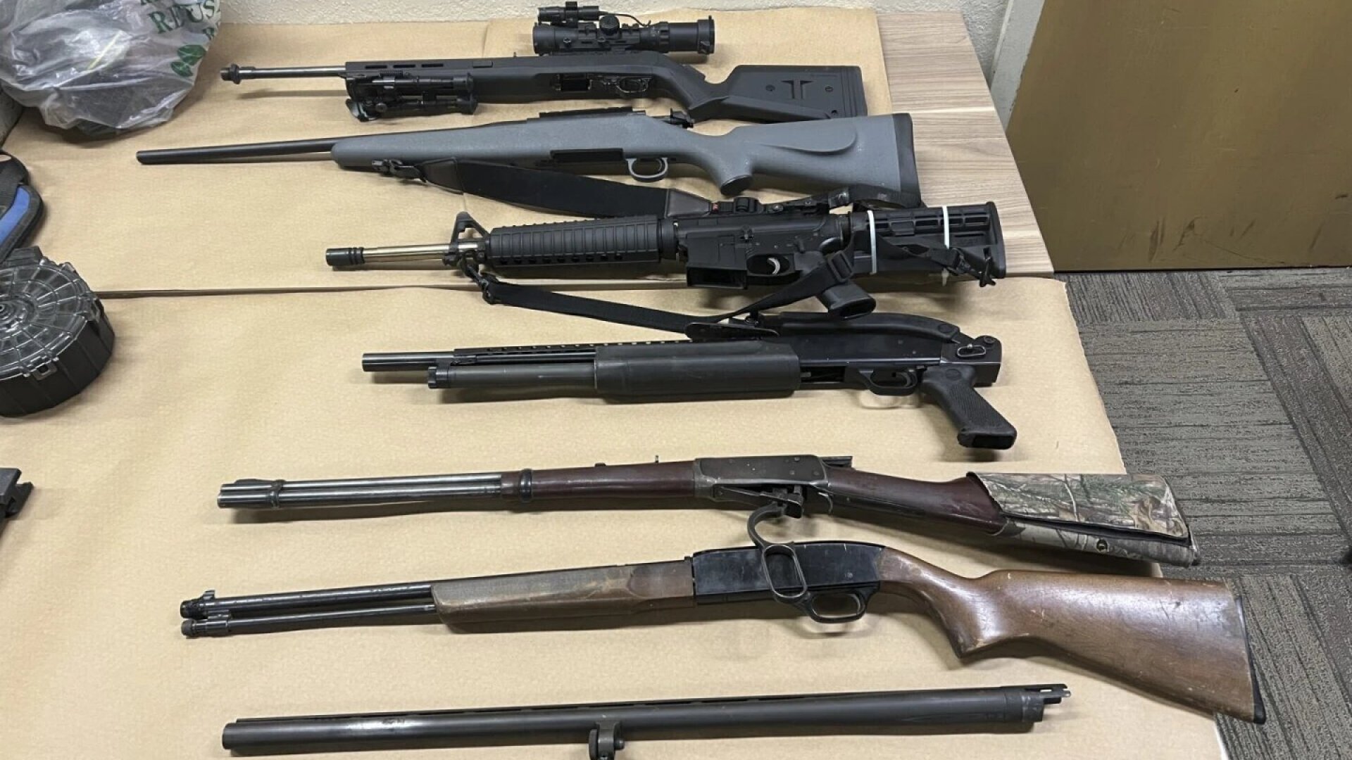 Desquiciado sujeto mató a 100 animales disparándoles al azar