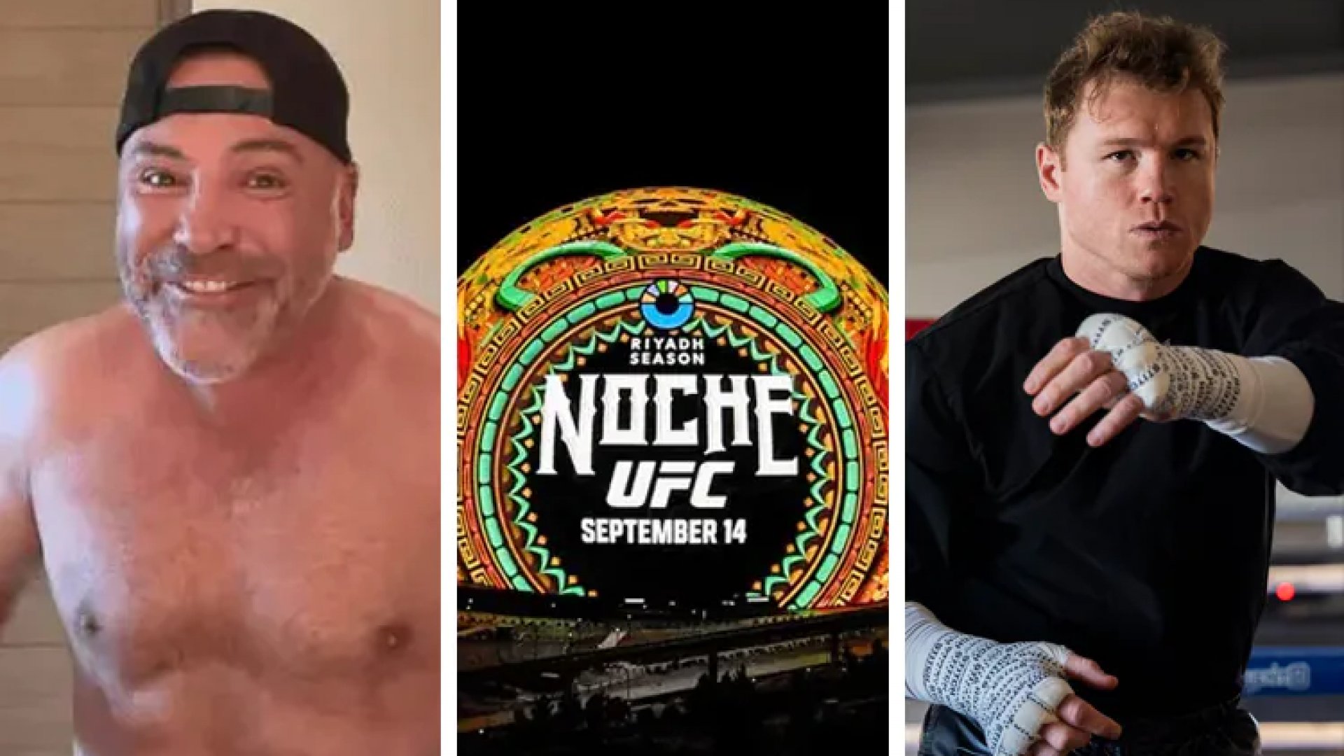 Prefiero la UFC que ver pelear al Canelo: Óscar de la Hoya