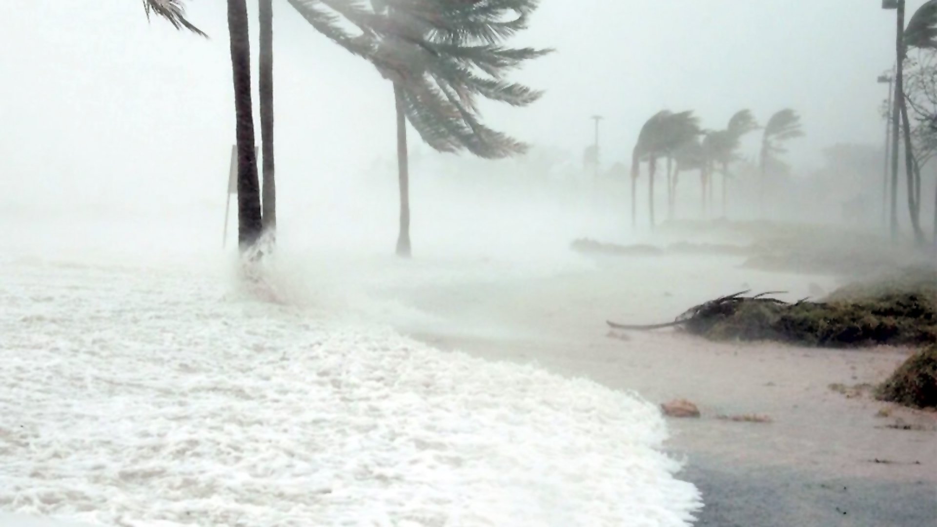¡Alerta! Depresión Tropical Nueve-E se dirige a BCS, Sinaloa y Sonora