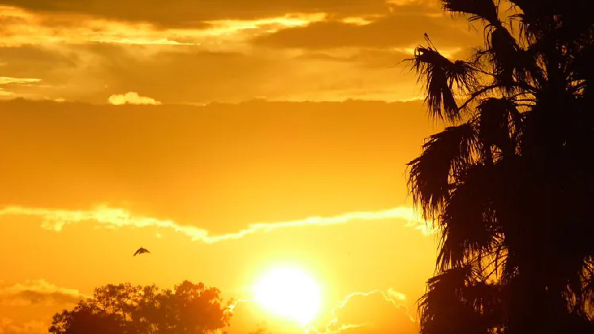 Este 19 de septiembre se espera clima cálido para la mayor parte del país
