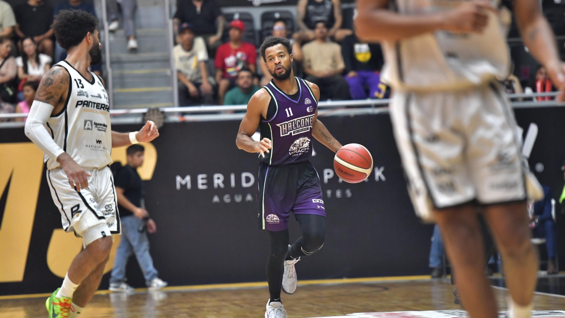 Halcones de Xalapa cae ante Panteras de Aguascalientes