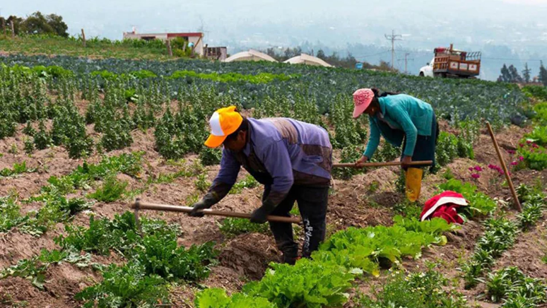 Crece actividad económica en México 2 por ciento anual en julio