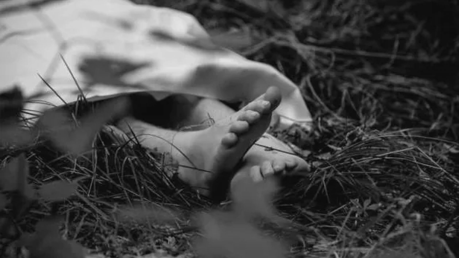 Reportan en Colima 14 asesinatos de menores en 2024; cifra supera la del año pasado