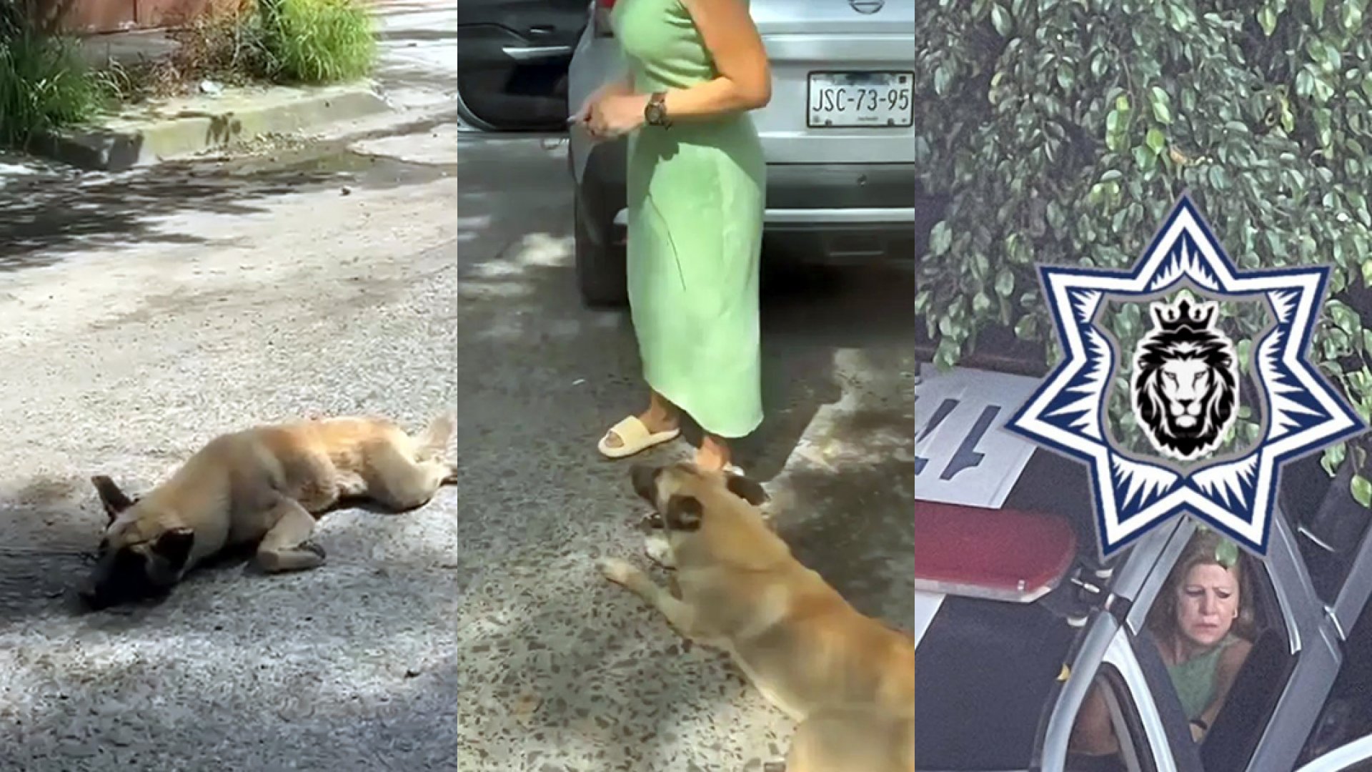 Mujer arrastra perro con camioneta en Tlaquepaque | Video
