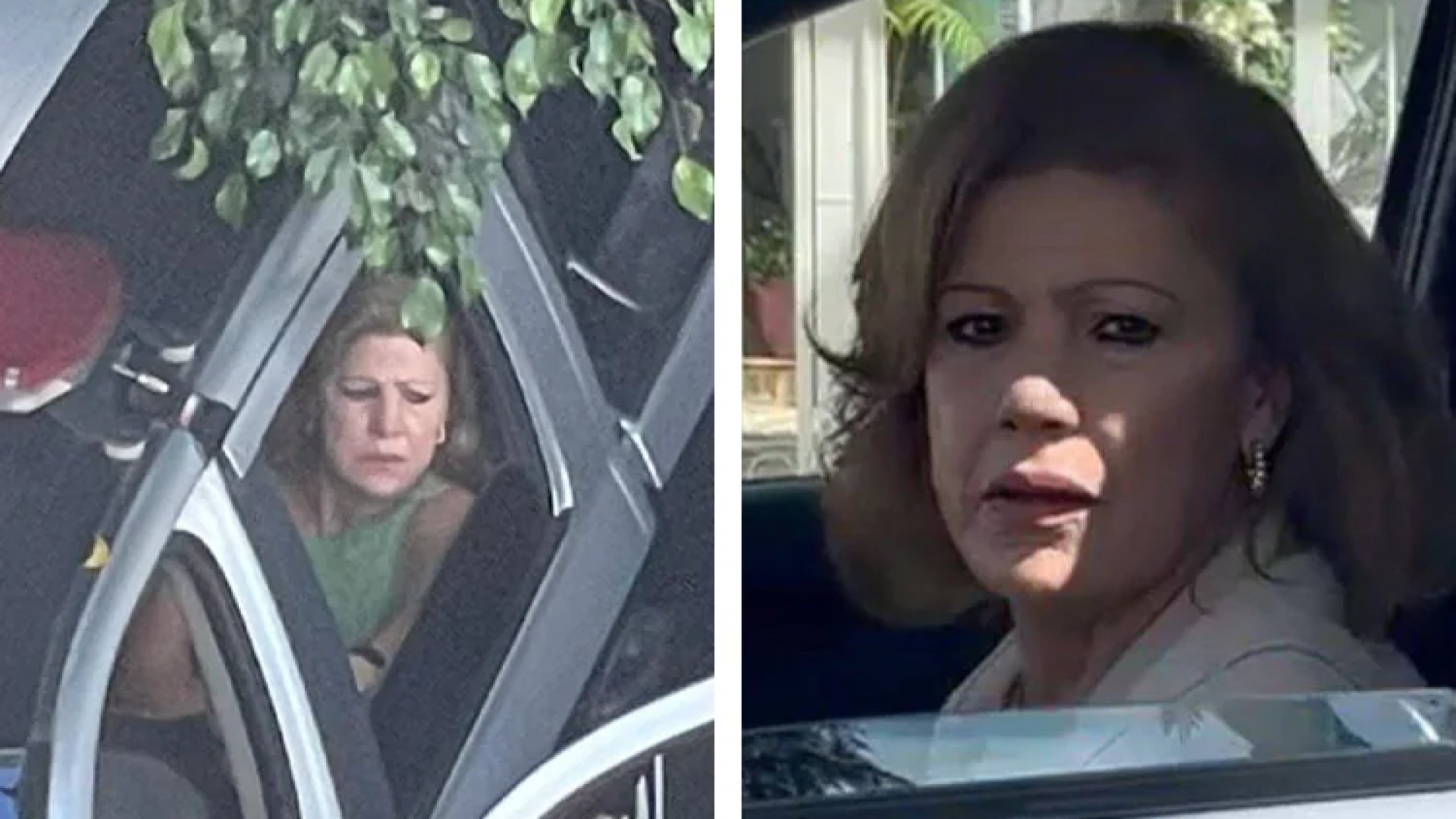 ¡Al tambo! Procesan por maltrato animal a mujer que arrastró a perro con su camioneta