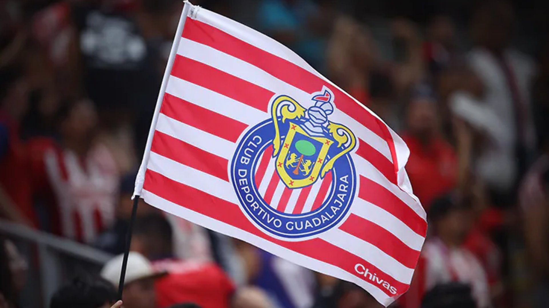 Explosión en sala de prensa de Chivas causa conmoción; periodistas abandonan el lugar