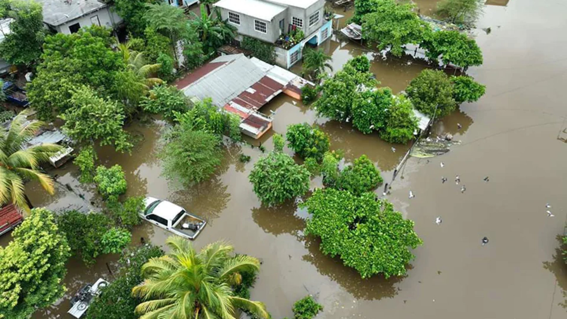 Tormenta tropical Milton se forma en el océano Atlántico