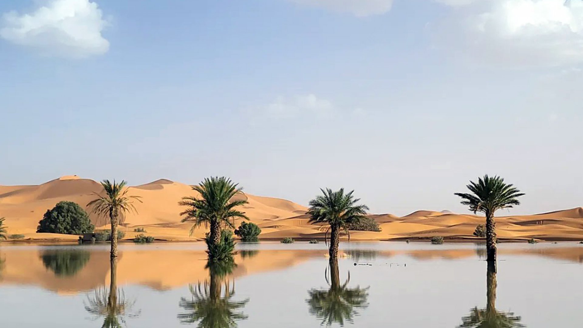 Se inunda el desierto del Sahara por primera vez en más de 50 años